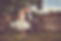 web_SKF9688.jpg