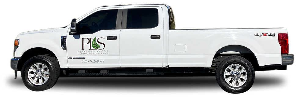 Group 1261155550.png