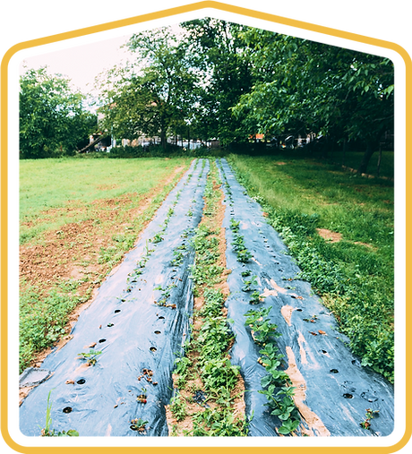 Group 1261155581 (1).png