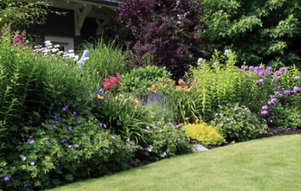 Rectangle 40162 (1).png