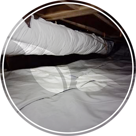 Group 1261155372.png