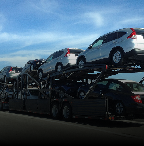 488494023_1131676335638534_5965109435582938784_n (2).png