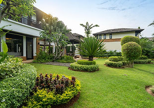 Rectangle 15 (1).jpg