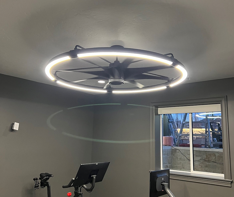 Modern ceiling fan with circular LED light