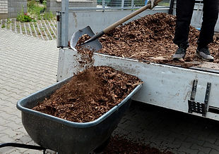 Rectangle 20 (2).jpg