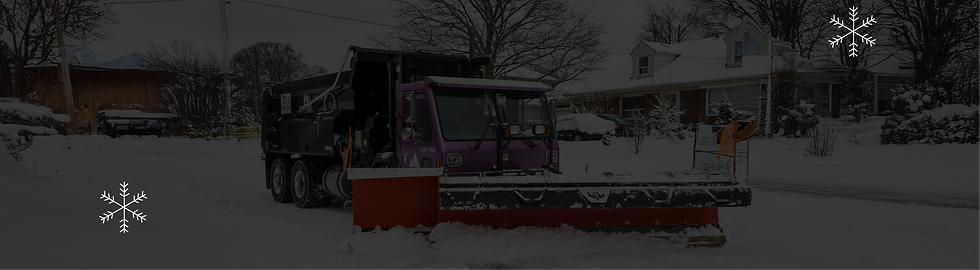 Group 1261155614 (1).png