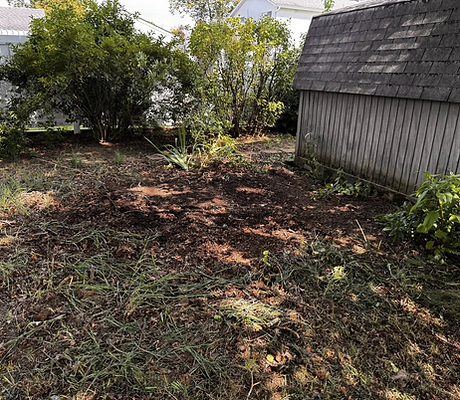 image 22 (27).png
