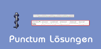Punctum-Lösungen.png