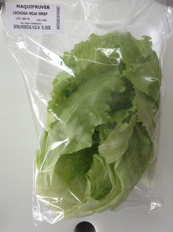Lechuga Wrap