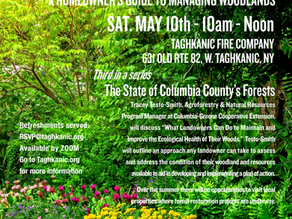 TAGHKANIC TALKS PRESENTS:
THE FOREST IN YOUR BACKYARD: A HOMEOWNER’S GUIDE TO MANAGING WOODLANDS