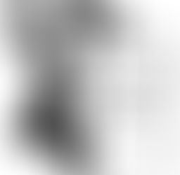 Town of Taghkanic ZBA Continuation of a Public Hearing Notice