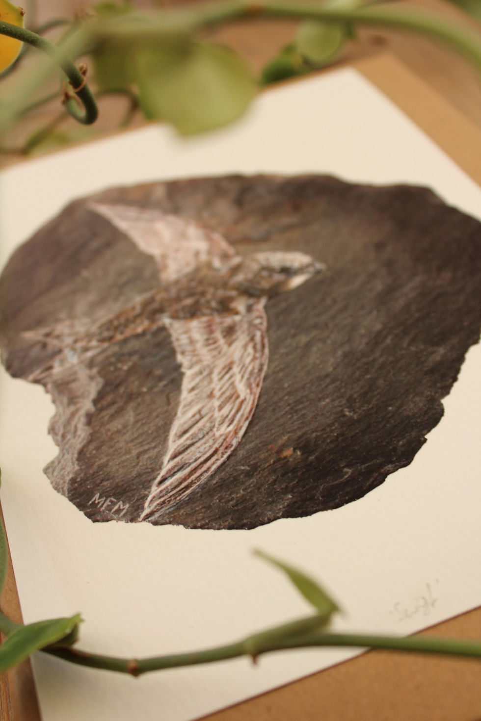Thumbnail: 'Swift' Limited Edition Fine Art Print, Giclee Print