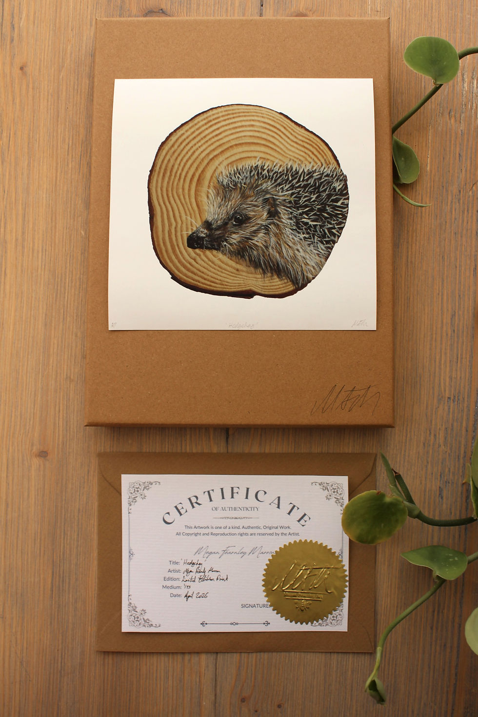 Thumbnail: 'Hedgehog' Limited Edition Fine Art Print, Giclee Print