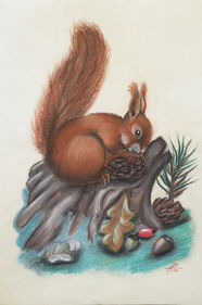 No. 6/0012, Pastellkreide auf Ingrespapier, ca. 47x32cm, Eichhörnchen