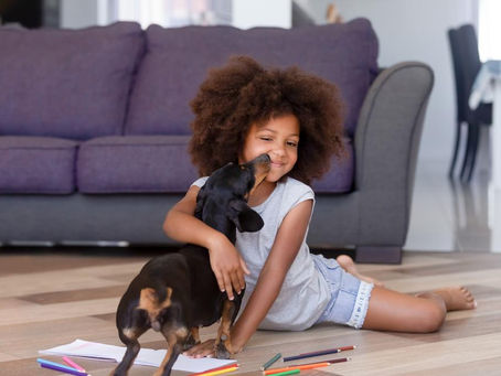 đž Are Dachshunds Good Family Dogs? What You Need to Know