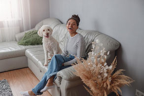🐩 Do Poodles Get Separation Anxiety? Let’s Dive In!