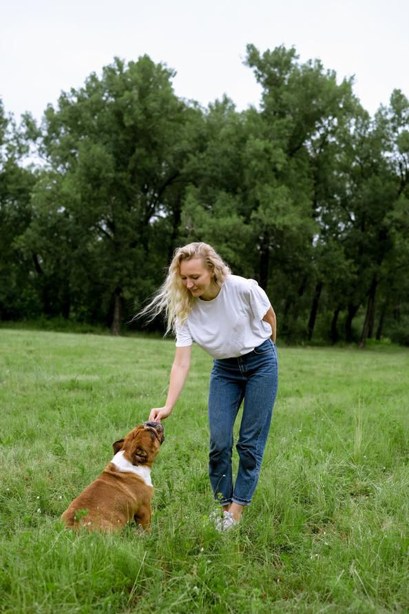 Bulldog pausing mid command looking at owner slow response outdoor training moment