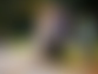 🥊 Are Boxers Good Family Dogs? The Unexpected Truth