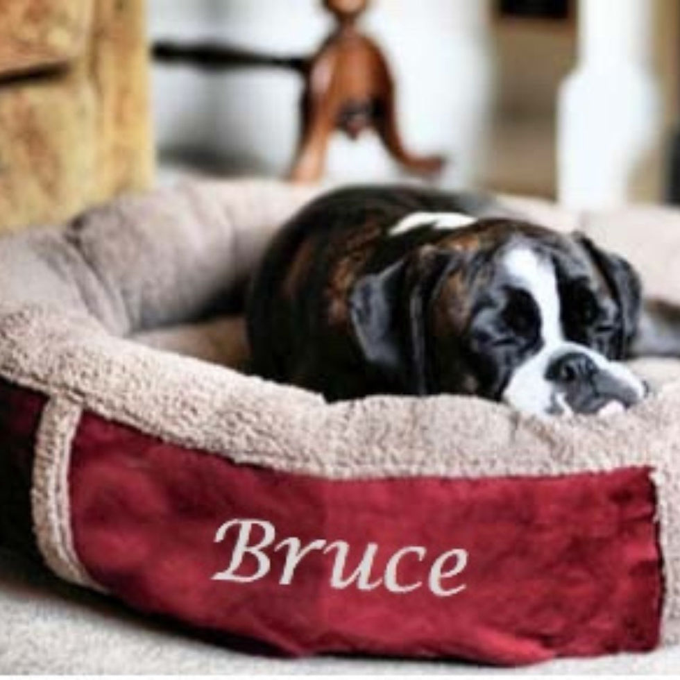 Red fleece donut dog bed personalised with a dog's name