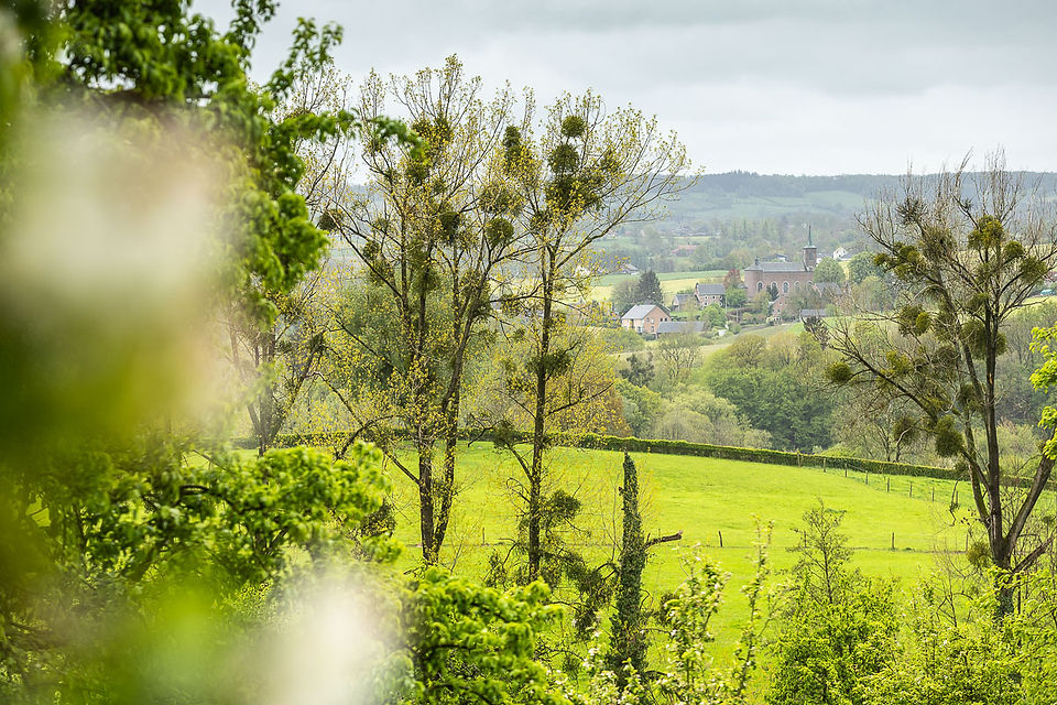 maretakken in de bomen met daarachter in de heuvels een dorpje