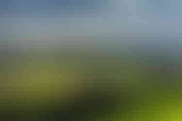 spel van licht en schaduw op de akkers in de Limburgse heuvels