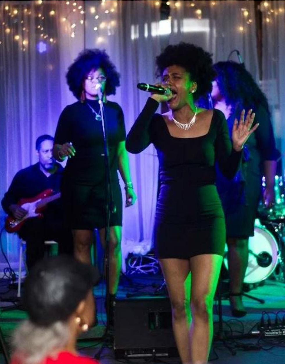 Performers Image Precise Team Event Planners