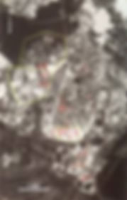 CIA satellite imagery with the plume direction marked.
