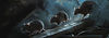 rats01_edited.jpg