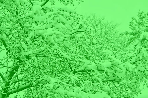 Snow_edited.jpg