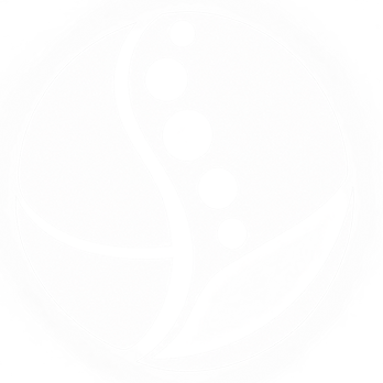 spinlogoW.png