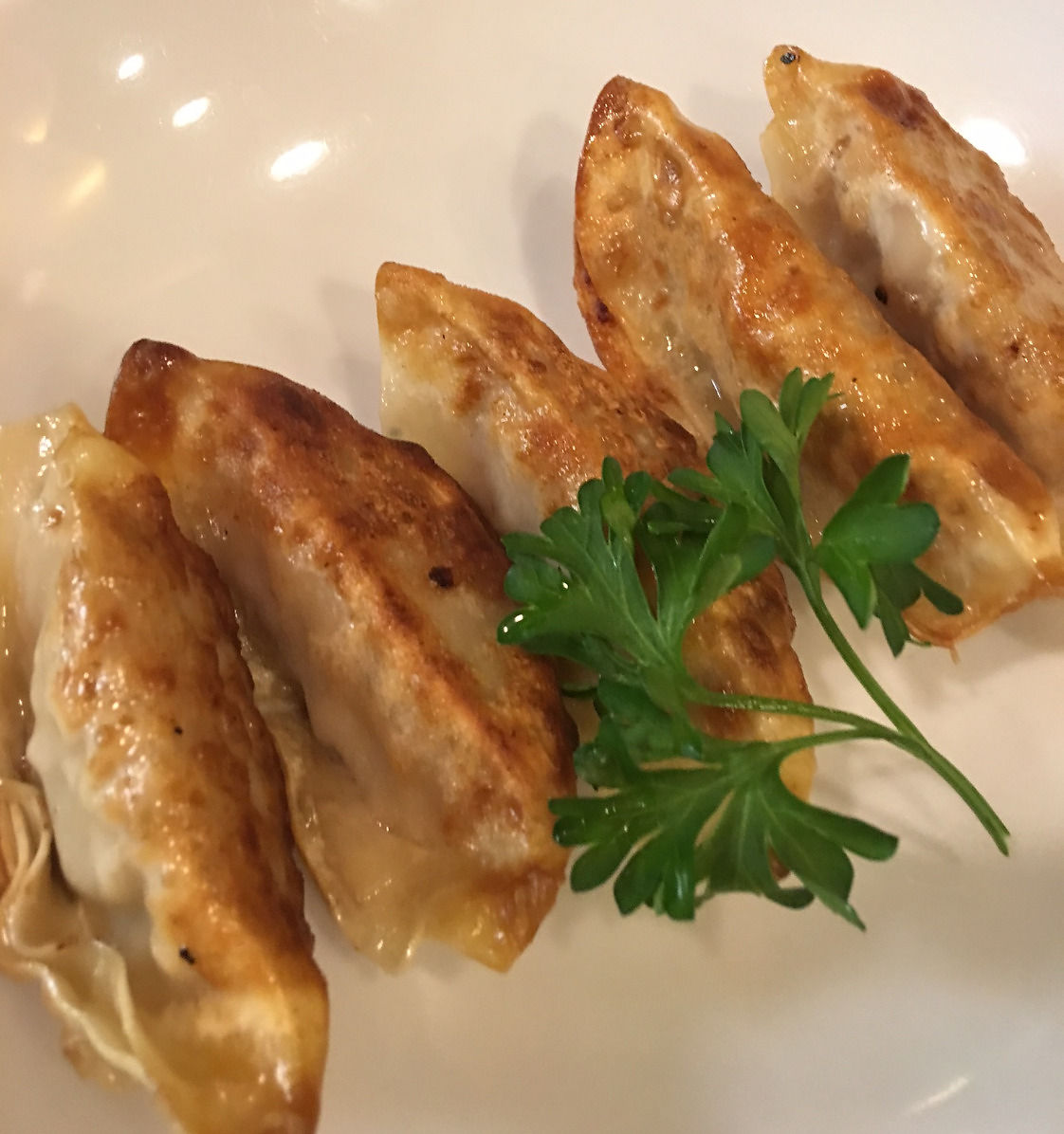 Appetizers - Chicken, Pork & Beef