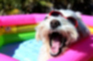 AdobeStock_104191894.jpeg
