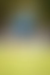 Golf Event Photography - Capturing the Intocast Chrome Golf Masters Tournament