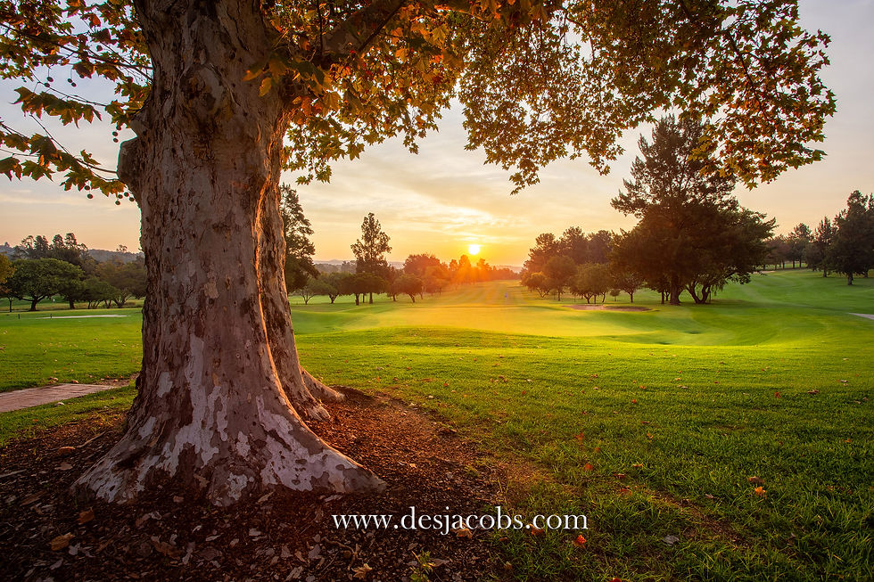 Golf Course Photography