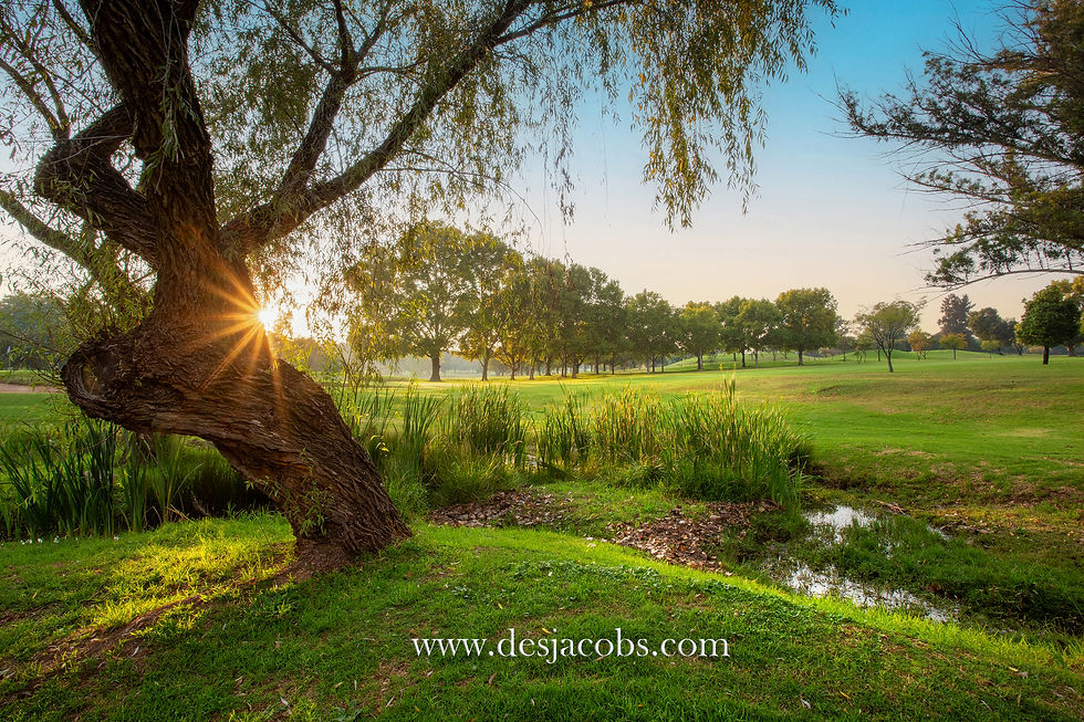 Golf Course Photography