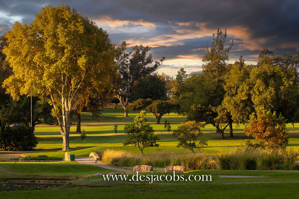Golf Course Photography