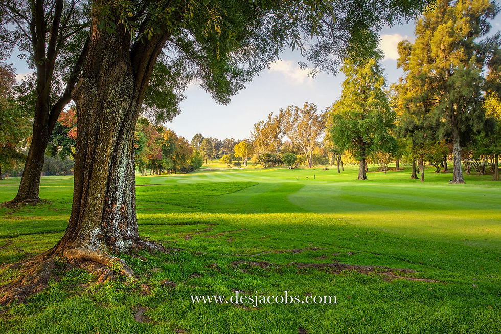 Golf Course Photography