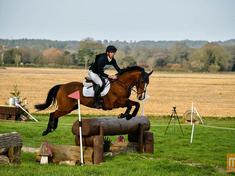 Spring into Action: March Blog 