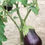 Thumbnail: Egg Plants