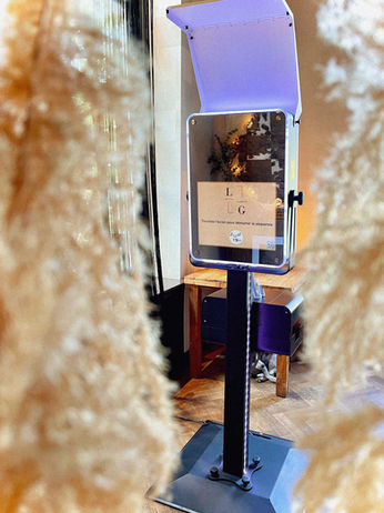 Photobooth mini miroir de Booth4you avec des pampas en avant plan