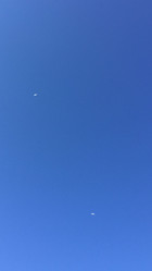 fullsizeoutput_230a.jpeg