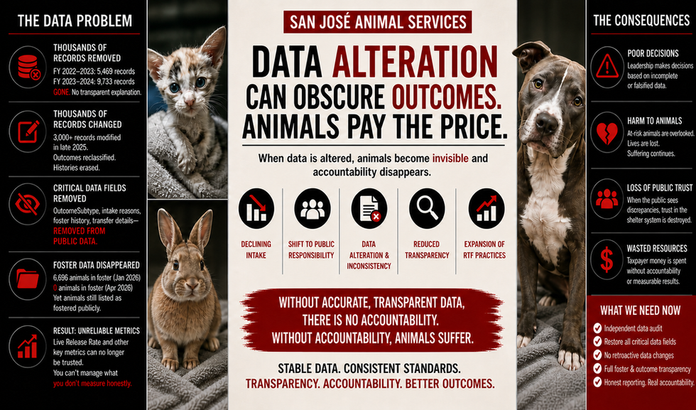 San Jose Animal Services Under Scrutiny as Data Gaps and Policy Shifts Raise Concerns