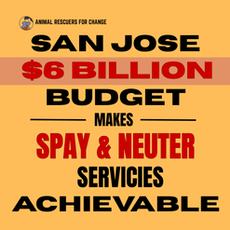 ACT NOW: Fix San José - Restore Spay/Neuter & TNR Access Now