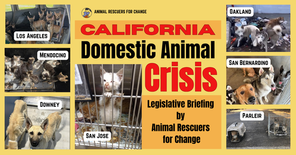 California Domestic Animal Crisis, Legislative Brief 2026