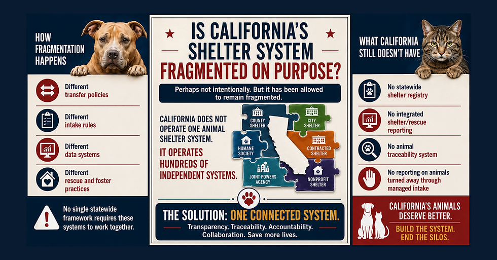 California’s Shelter Data gaps: Is California's Shelter System Fragmented by Design?
