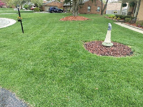 A well-kept garden bed alongside a freshly mowed lawn, highlighting the complete care approach of a company with 15 years of experience in landscaping and lawn care.
