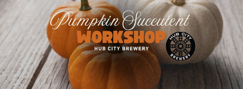 Pumpkin Succulent Workshop at Hub City Brewery