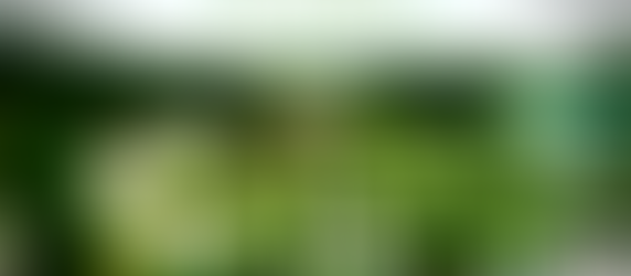 Frisella Nursery Product Photography