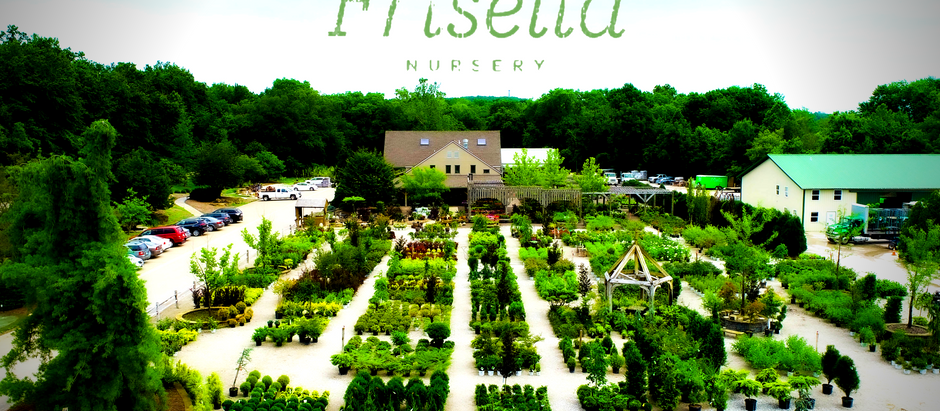 Frisella Nursery Product Photography