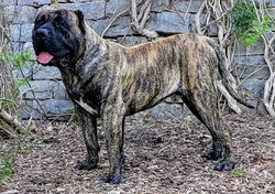 20210515_183506_capture(4)